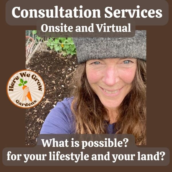 Consultation Services