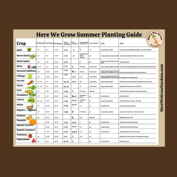 Here We Grow Summer Planting Guide- Free Download